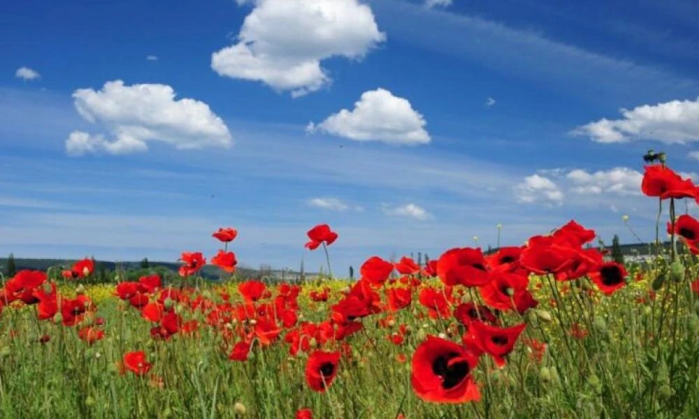 Καιρός: Αποχωρεί η σκόνη, έρχονται βροχές και καθαρός ουρανός